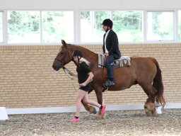 IMG_1117_web